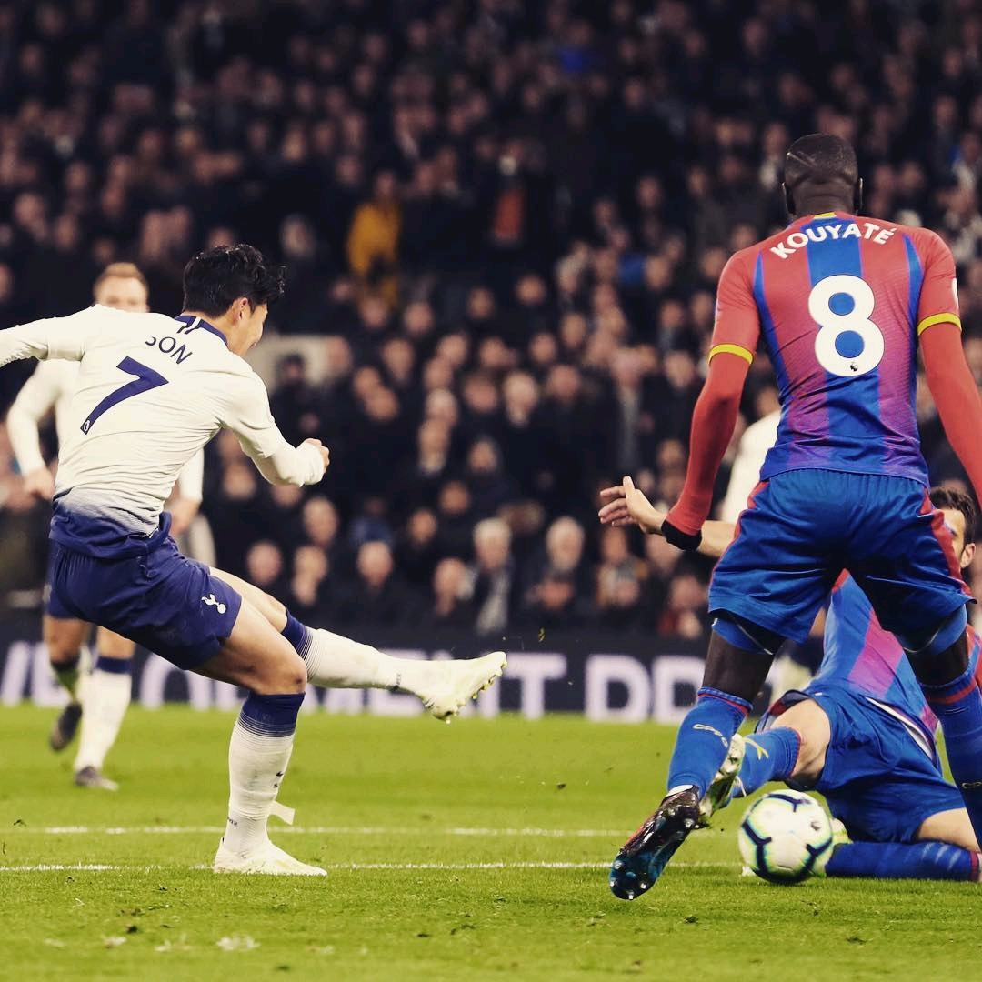 的非凡素质 的非凡素质